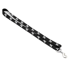 Jeffers Reflective Glow in the Dark Nylon Dog Leash 1" x 4' – Durable Webbing Leash with Safety Stripe, Metal Clip, Walking, Training, Running, Outdoor Use for Dogs Puppies Pets - Black