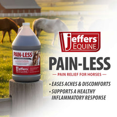 Jeffers Pain-Less, Gallon, 4ct