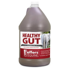 Jeffers Equine Healthy Gut Gastric Support – Liquid Digestive Supplement for Horses, Easy to Administer Formula, Supports Gut Comfort & Balanced Digestion – 1 gallon (128-day supply) 4 Count
