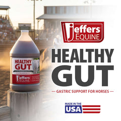 Jeffers Equine Healthy Gut Gastric Support – Liquid Digestive Supplement for Horses, Easy to Administer Formula, Supports Gut Comfort & Balanced Digestion – 1 gallon (128-day supply) 4 Count