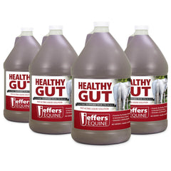 Jeffers Equine Healthy Gut Gastric Support – Liquid Digestive Supplement for Horses, Easy to Administer Formula, Supports Gut Comfort & Balanced Digestion – 1 gallon (128-day supply) 4 Count