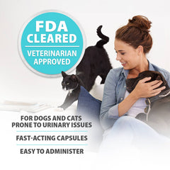 Jeffers Pet Uracid DL-Methionine Capsules for Dogs & Cats, Urinary pH Acidifier for Crystals, Bladder Stones, Urinary Tract Support, Fast Acting Urinary Health Supplement, Made in USA - 100 Capsule