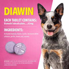 Jeffers Pet Diawin Digestive Support for Dogs, Bismuth Subsalicylate 65 mg - Anti Diarrhea Tablets for Dogs, Stool Firming & Tummy Relief, Fast Acting Digestive Aid for Home or Travel Use, 1000 Count