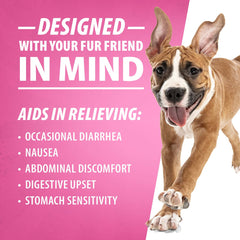 Jeffers Pet Diawin Digestive Support for Dogs, Bismuth Subsalicylate 65 mg