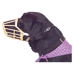 Jeffers Plastic Dog Muzzle with Adjustable Nylon Straps - Basket Style Breathable Pet Muzzle for Grooming, Vet Visits, Training, Walking, Anti Chew, Anti Lick, Anti Bark Control for Dogs - 9"