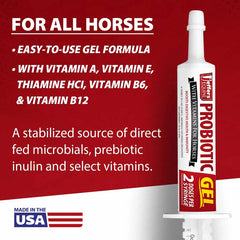 Jeffers Equine Probiotic Oral Gel for Horses, 30 cc Syringe – Supports Healthy Gut, Natural Appetite & Digestion, Horse Supplement w/ Prebiotics, Live Microbials (30M CFU), Vitamins A B E, USA Made