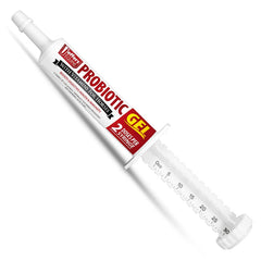 Jeffers Equine Probiotic Oral Gel for Horses, 30 cc Syringe – Supports Healthy Gut, Natural Appetite & Digestion, Horse Supplement w/ Prebiotics, Live Microbials (30M CFU), Vitamins A B E, USA Made