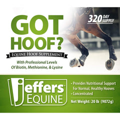 Jeffers Equine "Got Hoof?" Concentrated Horse Powder Hoof Supplement, 20 lbs - Biotin, Methionine, Zinc & Amino Acids for Safe Hoof Growth, Strength, and Dry Hooves - Includes 1 oz Scoop