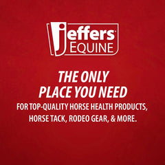 Jeffers Healthy Gut Horse Gastric Support – Liquid Digestive Supplement for Horses Prone to Ulcers, Easy to Feed Formula, Supports Gut Comfort & Balanced Digestion – 32 oz (32 Day Supply)
