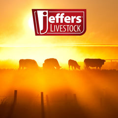 Jeffers OB Saw Handles Stainless Steel Pair for Veterinary Obstetrical Wire, Screw Lock Handles for Vet OB Saw Wire, Livestock Cattle Goat Veterinary Equipment, Farm Animal Vet Tools, 1 Pair