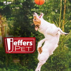 Jeffers Bone Shaped Fuzzy Squeaker Toy | Size L, 7.5 inch | Plush Dog Toy with Squeaker