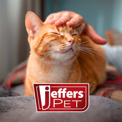 Jeffers Pet Vanilla Walnut Conditioning Dog & Cat Shampoo, 17 oz – Deodorizing Grooming Wash, Coconut Based Soap Free Formula, Walnut Oil & Vanilla Extract, Vitamins A D E, Concentrated Coat Care