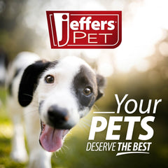 Jeffers Heavy Duty Flat Latigo Leather Dog Collar with Solid Brass Hardware, Adjustable Secure Fit for Dogs, Safe Chestnut Collar for Walking, Training & Outdoor Pet Accessories - 3/4" x 15"