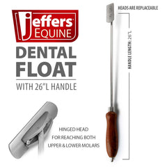 Jeffers Stainless Steel Dental Float for Horses - 26" Long Handle Equine Tool with Hinged Head, Concave Blade, Horse Oral Care Floating Instrument for Barn, Stable, Veterinary Equipment