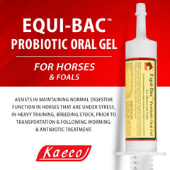 Equi-Bac Oral Gel 80 ml, Probiotic Oral Gel for Horses and Foals, Contains Lactobacillus, yeast, enzymes, and Vitamins A, D, E, and B12