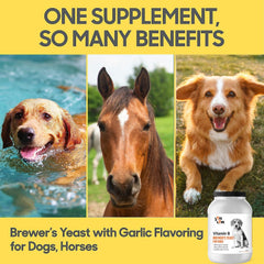 Lots of Love Brewer's Yeast/Garlic Powder 5 lbs