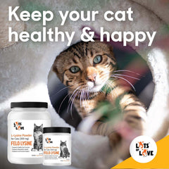 Lots of Love Fel O Lysine Powder 12 oz