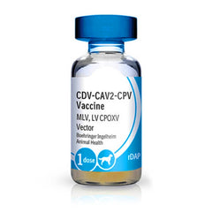 Recombitek C-3 (25 x 1ml)