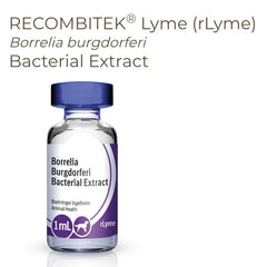 Recombitek Lyme, (20 x 1ml)