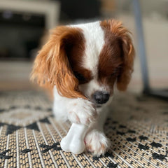 4.5" Regular Durable Bone Flavor: Chicken