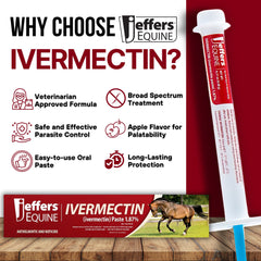 Jeffers Equine Ivermectin Gel Horse Dewormer Paste 1.87%, Broad Spectrum Equine Parasite Control Formula, Apple Flavored Oral Wormer for Horses, Easy Travel Use, Mess Free Syringe Tube - 3 Pack