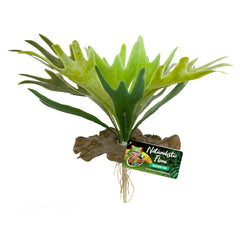 Zoo Med Naturalistic Flora Staghorn Fern Terrarium Plant Green, Brown, 1ea