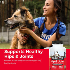 Nutri-Vet Hip & Joint Regular Strength Chewables for Dogs, Liver, 75 count