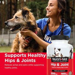 Nutri-Vet Hip & Joint Regular Strength Chewables for Dogs, Liver, 120 count