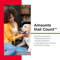 Nutri-Vet Hip & Joint Regular Strength Chewables for Dogs, Liver, 120 count