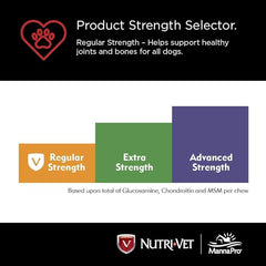 Nutri-Vet Hip & Joint Regular Strength Chewables for Dogs, Liver, 180 count