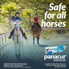 Panacur Dewormer Horse Paste 10%, 100mg | 3-Pack