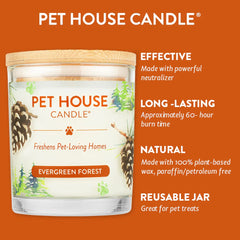 9oz Candle, Evergreen Forest
