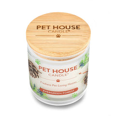 9oz Candle, Evergreen Forest
