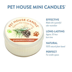 Mini Candle, Evergreen Forest