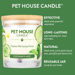 9oz Candle, Cucumber Mint