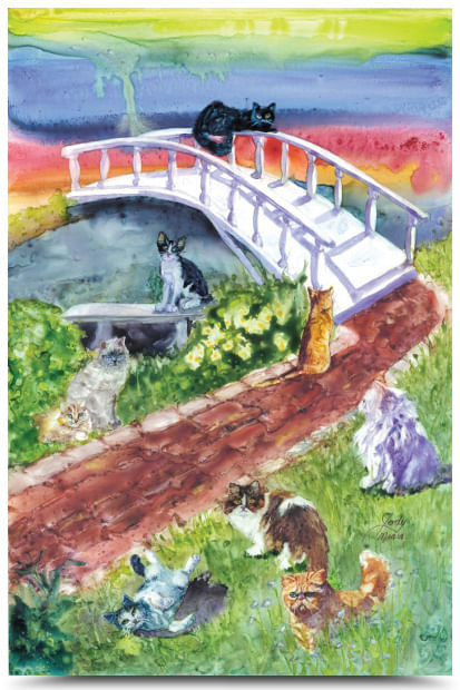 Rainbow Bridge Pet Sympathy Card, Cat