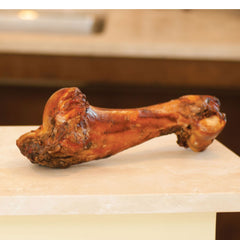 Dino Bone 12-14” – All-Natural Meaty Beef Arm Bone for Medium to Large Dogs