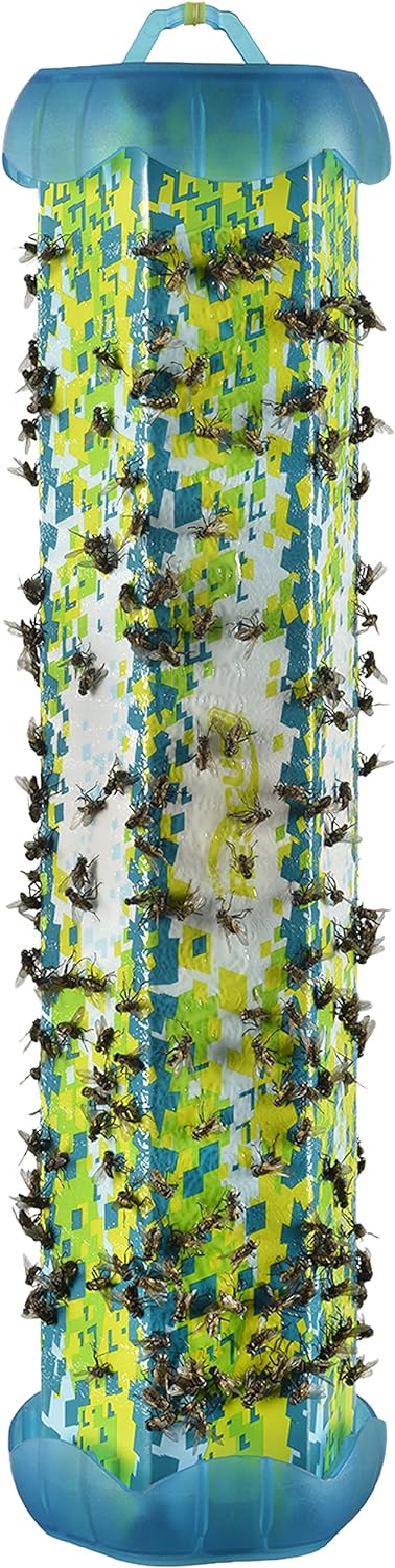 مصيدة الذباب الداخلية