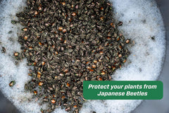 Rescue! Japanese Beetle Refill