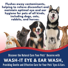 Wash It Eye & Ear Wash