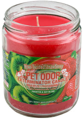 Pet Odor Exterminator Candle, Kiwi Twisted Strawberry, 13 oz