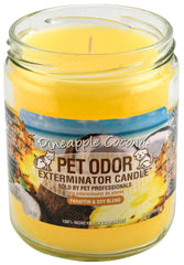 Pet Odor Exterminator Candle, Pineapple Coconut, 13 oz