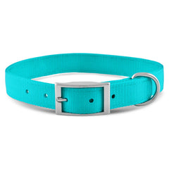 Jeffers Solid Web Nylon Dog Collar with Nickel Plated Hardware, 1"Wx18"L - Adjustable Durable Nylon Pet Collar for Small to Medium Dog, Perfect for Walking, Training, Travel, & Outdoor - Turquoise