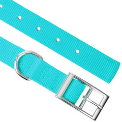 Jeffers Solid Web Nylon Dog Collar with Nickel Plated Hardware, 5/8"Wx20"L - Adjustable Durable Nylon Pet Collar for Small to Medium Dog, Perfect for Walking, Training, Travel, & Outdoor - Turquoise