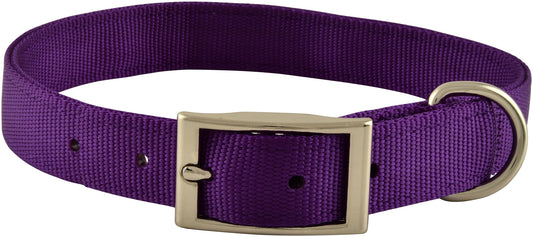 1" x 24" Dog Collar Color: Purple