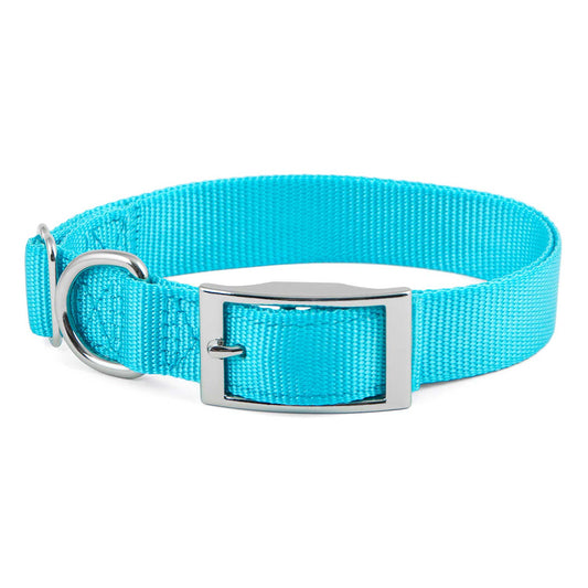 Adjustable Dog Collar 1"W x 14"-24"L Color: Turquoise