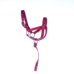 Llama Halter - Adult Color: Red