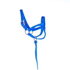 Llama Halter - Yearling Color: Royal Blue