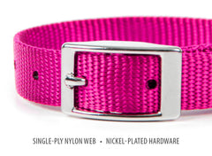 Jeffers Solid Web Nylon Dog Collar with Nickel Plated Hardware, 5/8"Wx12"L - Adjustable Durable Nylon Pet Collar for Small to Medium Dog, Perfect for Walking, Training, Travel, & Outdoor - Hot Pink