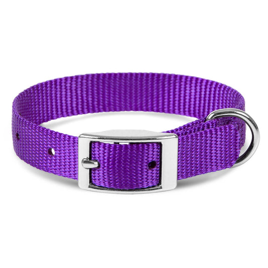 Jeffers Pet Solid Web Nylon Dog Collar for Small, Medium, Large Dogs – Adjustable Pet Collar, Nickel Plated Hardware – Strong, Durable, Comfortable – Outdoor, Training Use - Purple 5/8"W x 10"L